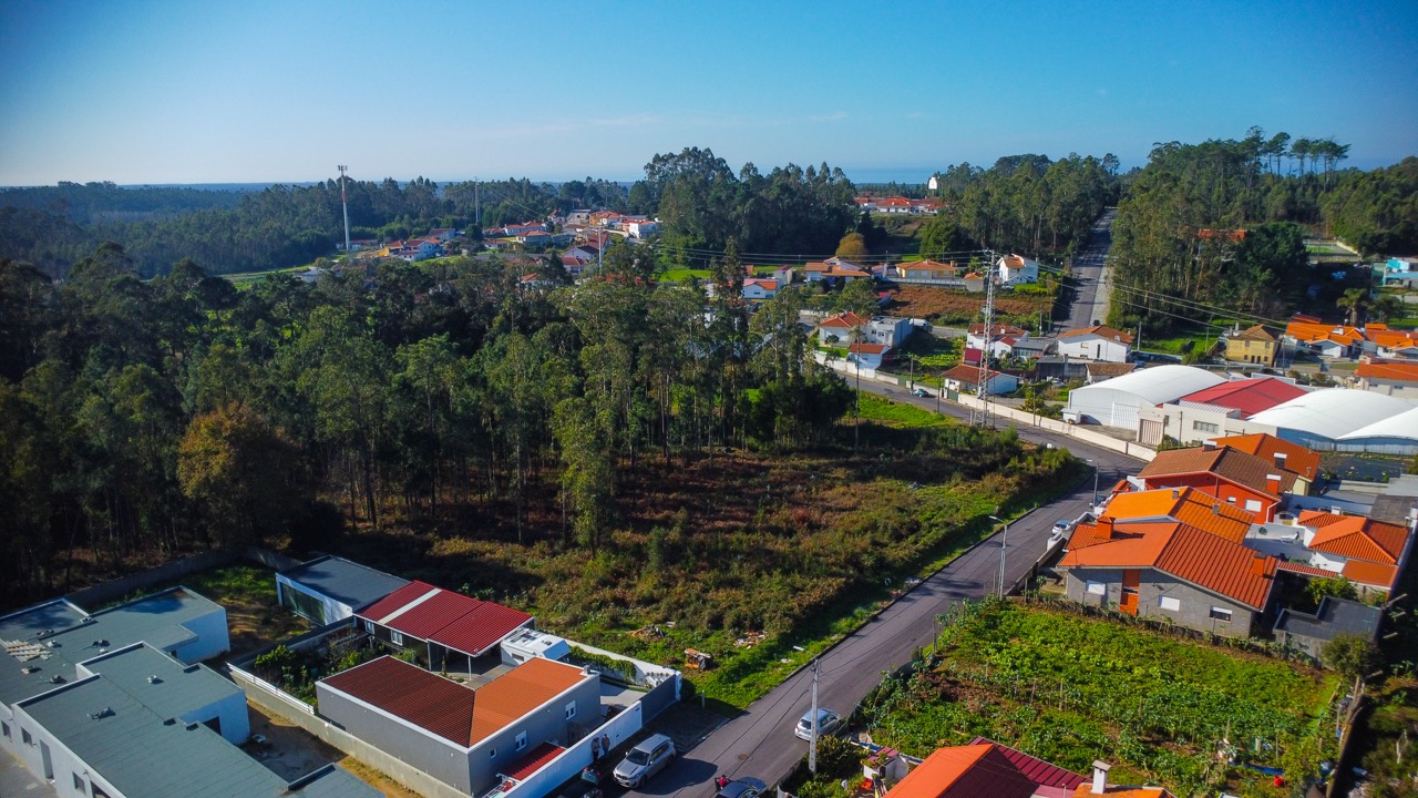 DCIM104MEDIADJI_0232.JPG
